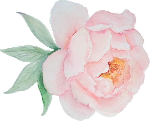 Delicate Watercolor Pink Flower